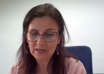 “Importa aprender com a experiência do passado”, alerta APA