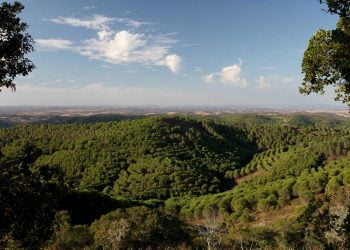 Câmara Municipal de Moura venceu Prémio Nacional da Paisagem 2020