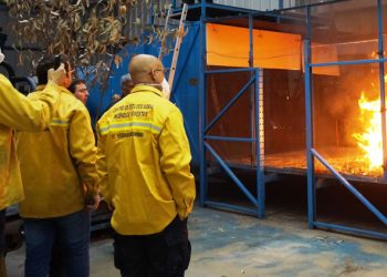 Projeto internacional liderado pela UC conquista 10 milhões de euros para estudo de grandes incêndios florestais