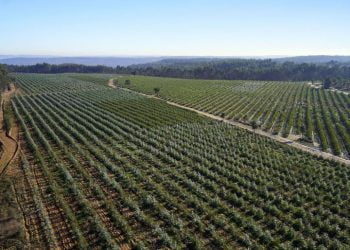 Altri compromete-se a contribuir para os ODS definidos na Agenda Mundial 2030