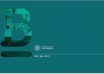 Cátedra REN apresenta manual com medidas para diminuir impacto das Linhas de Transporte de Energia na biodiversidade