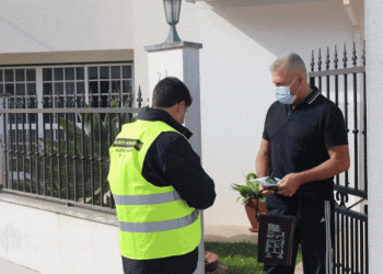 Sintra reforça recolha seletiva de biorresíduos