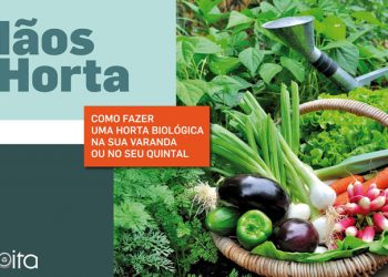 Município de Moita promove ação de formação sobre hortas biológicas
