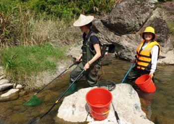 Estudo da Universidade Coimbra alerta para fraca qualidade ecológica dos rios em todo o mundo