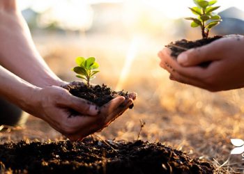 DS Smith lança nova solução de packaging sustentável