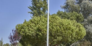 Inframoura assinada Dia Mundial do Ambiente com webinar