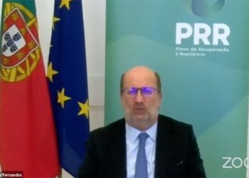 Florestas: Governo quer certificar setor e capacitar organizações de produtores