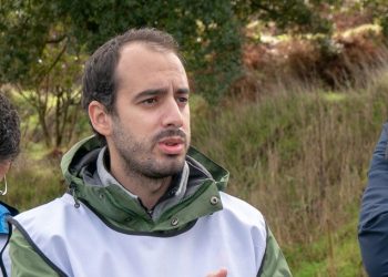 GEOTA reclama pela existência de “apoios do Estado mais robustos e contínuos” à gestão da floresta