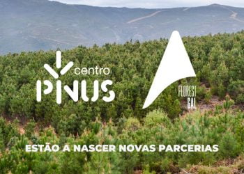 FLORESTGAL e Centro PINUS celebram protocolo de cooperação por uma floresta melhor
