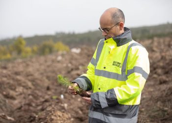 Projeto de I&D da Sonae Arauco quer apoiar os proprietários florestais na identificação de espécies e proveniências mais rentáveis