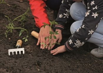 Torres Vedras assume compromisso de Glasgow em matérias de alimentação e clima