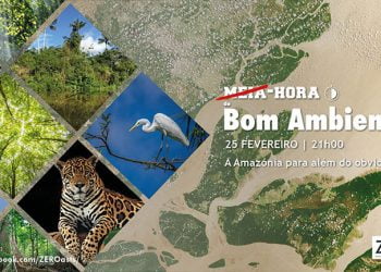 ZERO promove debate sobre “Amazónia para além do óbvio”