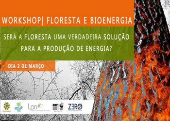 ZERO promove workshop sobre florestas e bioenergia