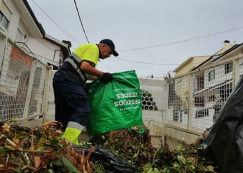 Gondomar distribui dois mil mini-bags com identificador eletrónico, no âmbito da Recolha Seletiva de Resíduos Verdes