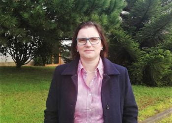 Financiamento pós-fogo florestal mal aplicado em Portugal, revela estudo da UA