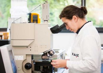 Instituto de Investigação RAIZ faz parte do Clube UNESCO das Nações Unidas