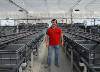 Universidade de Aveiro monta instalação-piloto para testar novo sistema de aquacultura