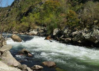 GEOTA distingue Ministério da Agricultura no pior e ProTejo no melhor dos prémios Guarda-Rios 2021