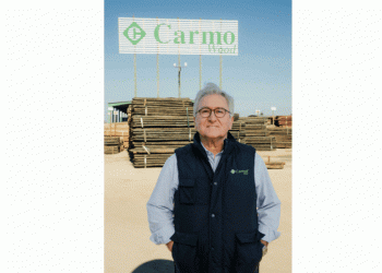 #EconomiaCircular: Carmo Wood quer afirmar a madeira como o “material de construção do século XXI”