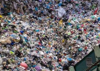 SPV: “46,4% dos portugueses afirmam reciclar mais quantidade de resíduos face há um ano”