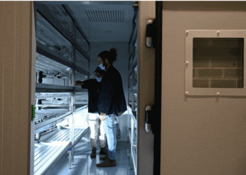 Projeto inovador Bios Urban Farm vai nascer em setembro de 2021 no campus da Nova SBE