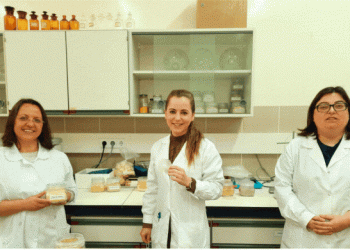 Investigadoras da UC criam embalagens comestíveis a partir de resíduos da indústria agroalimentar e da pesca