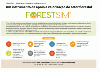 2BForest na linha da frente para criar mais valor ambiental no setor florestal