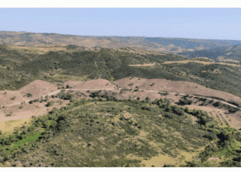 Loulé investe 320 mil euros na gestão de combustível da rede primária