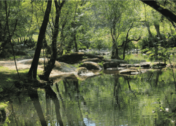 Guimarães assegura um “ecossistema de governança” que envolve toda a comunidade no rumo a uma cidade sustentável, inovadora e inteligente