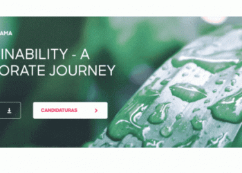 ISEG Executive Education promove formação inovadora sobre sustentabilidade