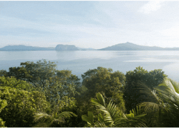 TecAmbiente assume-se como uma empresa “competitiva, credível e responsável”