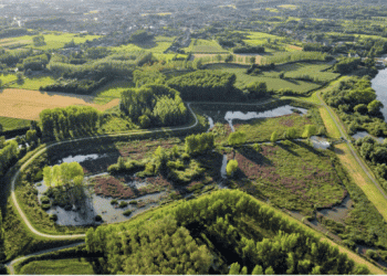 Universidade do Algarve integra consórcio europeu para criar mestrado em Ecohidrologia Aplicada