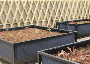 Unilabs Portugal instala UniHortas para colaboradores