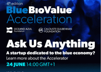 Blue Bio Value promove duas sessões de esclarecimento sobre as iniciativas Aceleração e Ideação