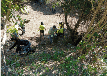 Mais de 90 pessoas aceitaram o desafio de limpar a Serra de Montejunto
