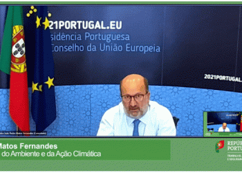 É no domínio da sustentabilidade que vai haver uma “grande revolução” no mercado de trabalho