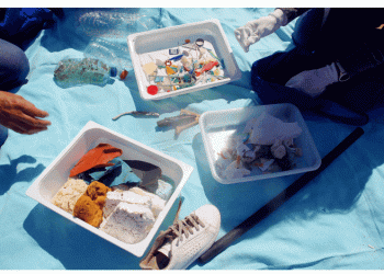 Ação de Limpeza de Praia da MultiOpticas contou com formação sobre microplásticos