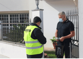 Operação “Sintra e os Biorresíduos” chega a partir desta quarta-feira a Queluz