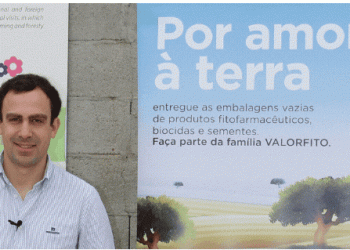 Opinião: Valorfito com saldo positivo de carbono