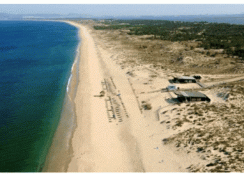 Há menos 15 Praias Zero Poluição que no passado, segundo a ZERO