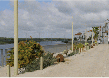 Município de Alcácer do Sal realiza ação de plantação de novas árvores na região