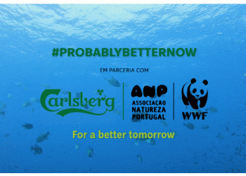 Carlsberg e ANP|WWF criam movimento para salvar o ecossistema marinho