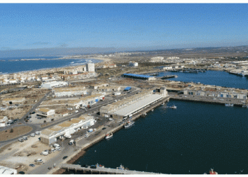 Docapesca investe mais de 400 euros para melhorar portos de pesca de Peniche e da Figueira da Foz