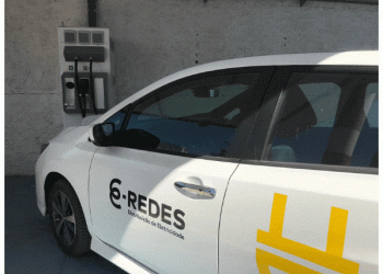 E-REDES anuncia investimento de 13,5 milhões de euros na gestão da vegetação junto a linhas elétricas
