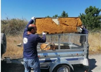 Electrão recolhe perto de 6 toneladas de eletrodomésticos abandonados em ação promovida pela Brigada do Mar