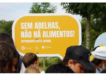 “Poliniza-te” quer alertar para a importância da preservação dos polinizadores