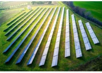 Leca Portugal vai investir 600 mil euros em parque fotovoltaico para produção de eletricidade