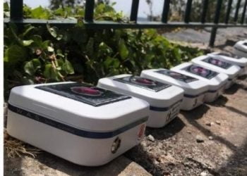 SPEA instala primeiro laboratório de poluição luminosa na Madeira para ajudar a salvar aves marinhas