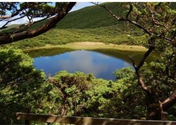 Angra do Heroísmo: Os valores naturais de um concelho no coração do Atlântico