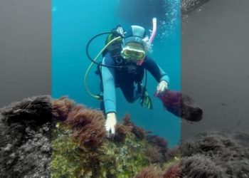 Desafios de um confinamento (im)possível: o novo dia-a-dia dos investigadores